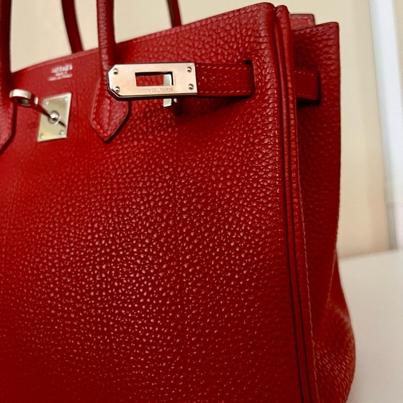 HERMES Togo Birkin 25 with Palladium Hardware - Picture 12 of 16